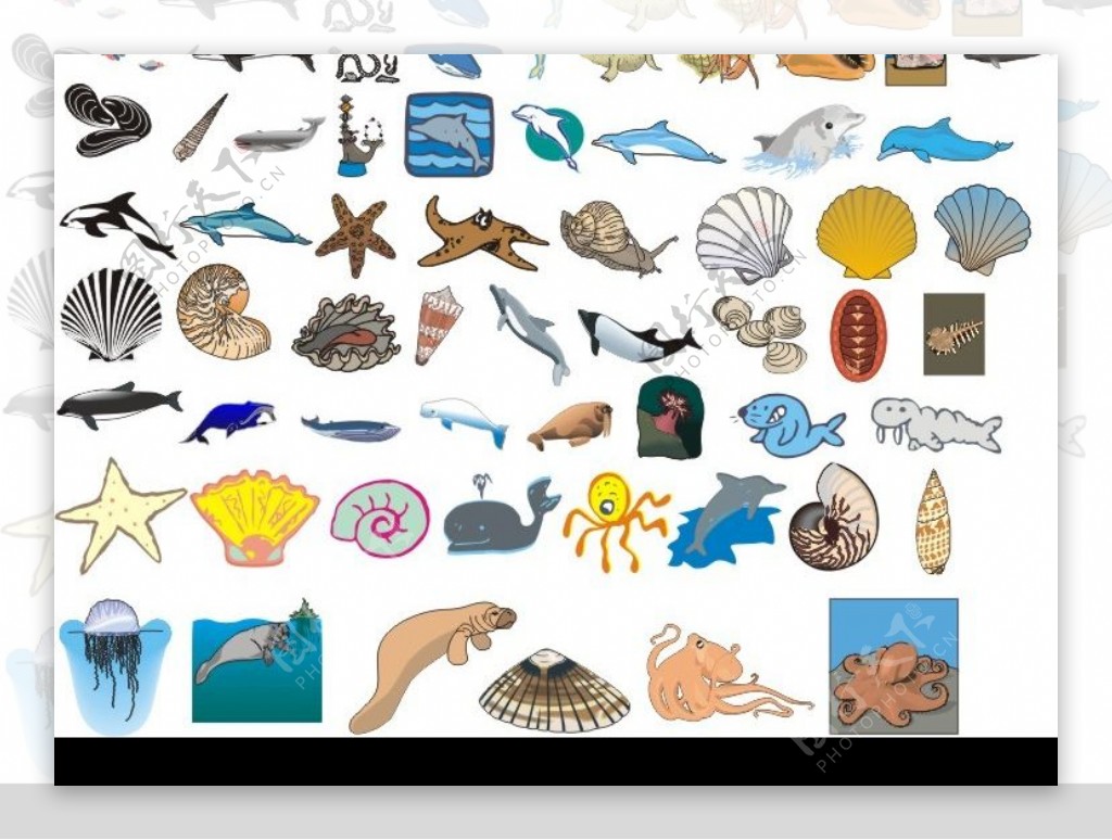 148种海洋生物形态矢量图图片