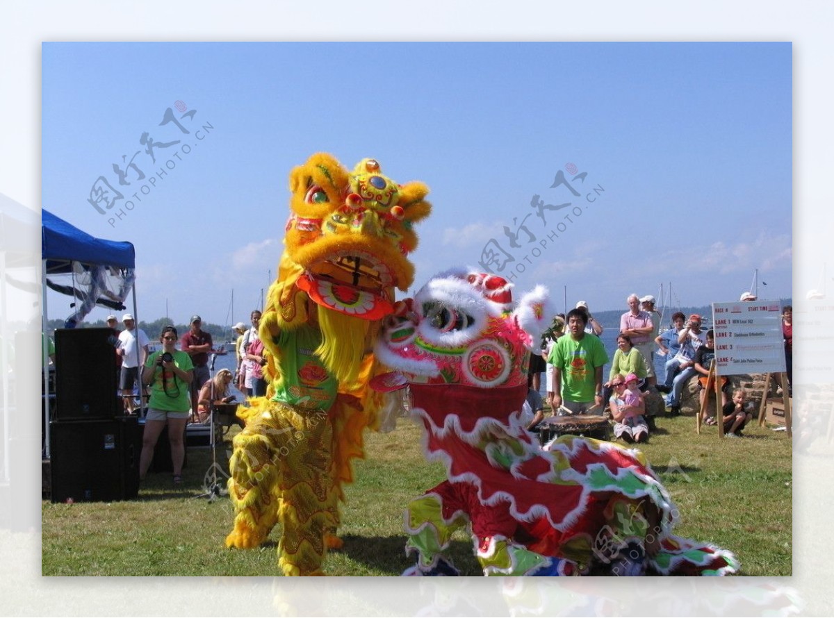舞狮南狮中国传统文化表演艺术瑰宝节庆华人狮子liondance草地围观图片