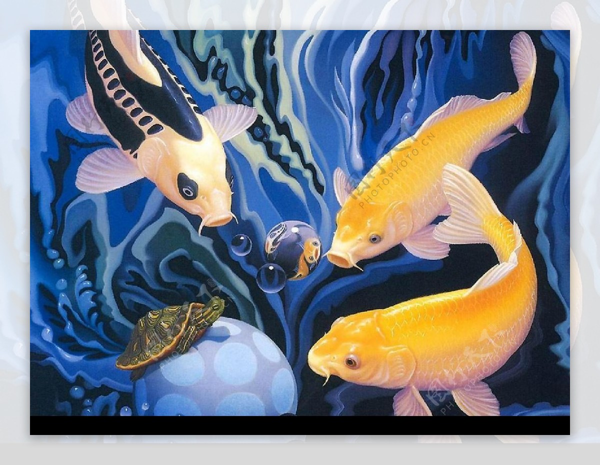 精美奇妙的动物画鱼戏海底图片