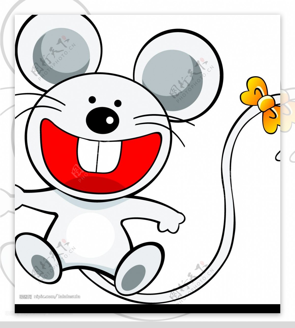 白色小老鼠图片