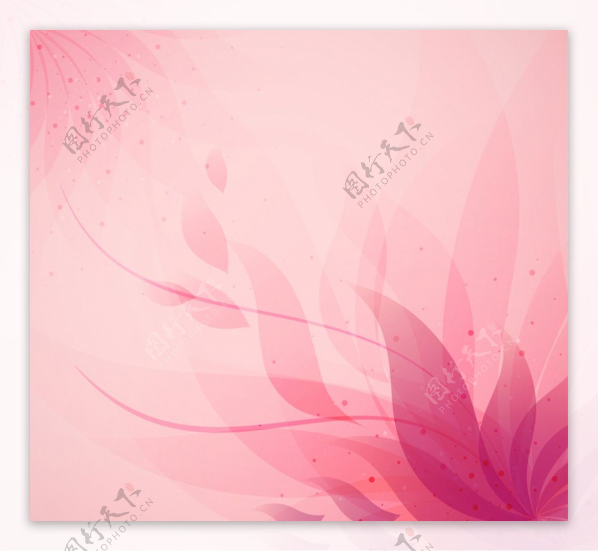 粉色抽象花卉背景图片