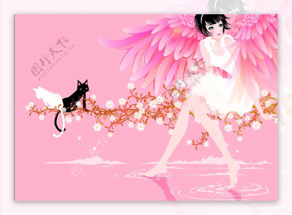 天使女孩黑白猫图片