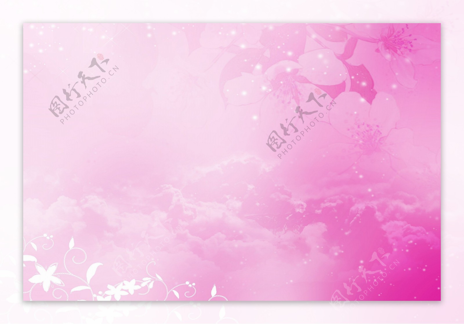 粉色花朵天空背景图片