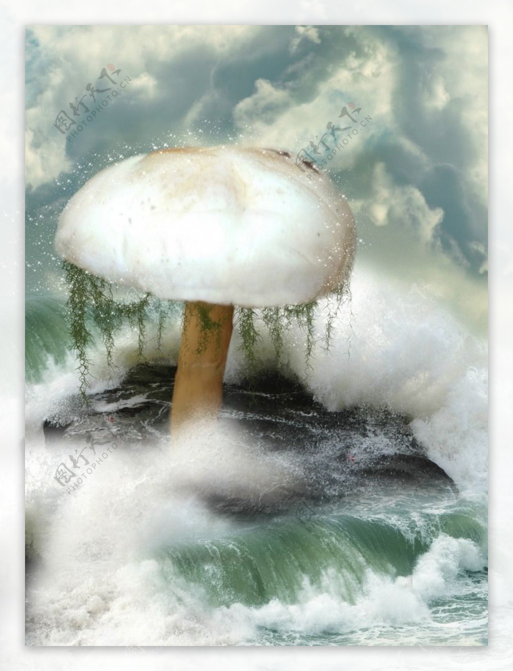 梦幻世界蘑菇图片