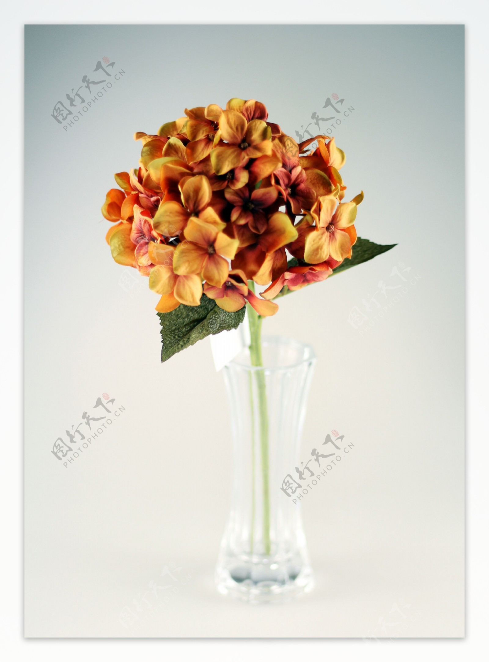 塑胶花卉花瓣花束图片