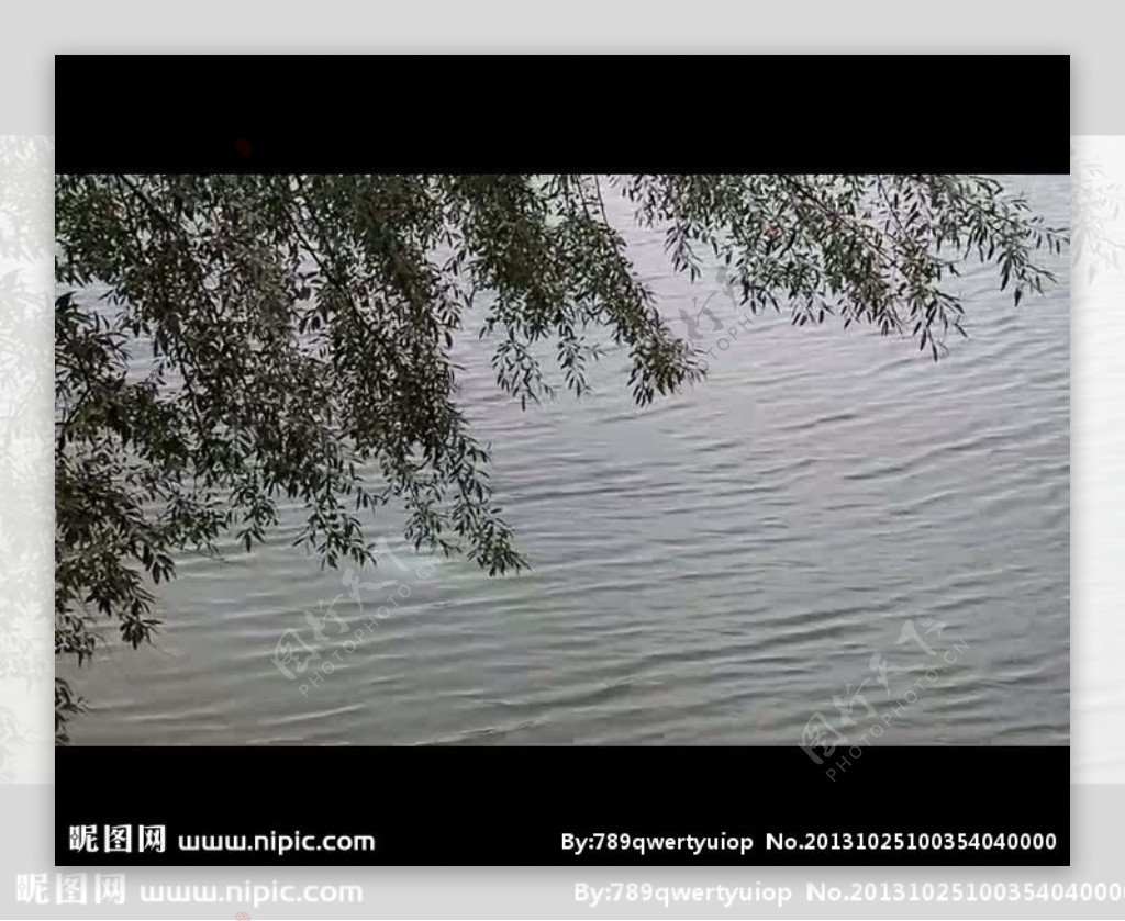 实拍湖水水波视频素材