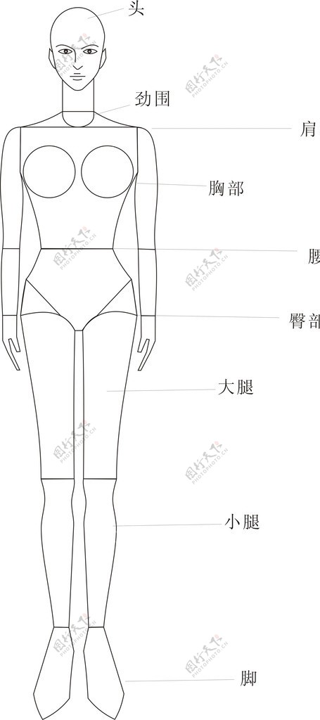 人体绘图基础图片