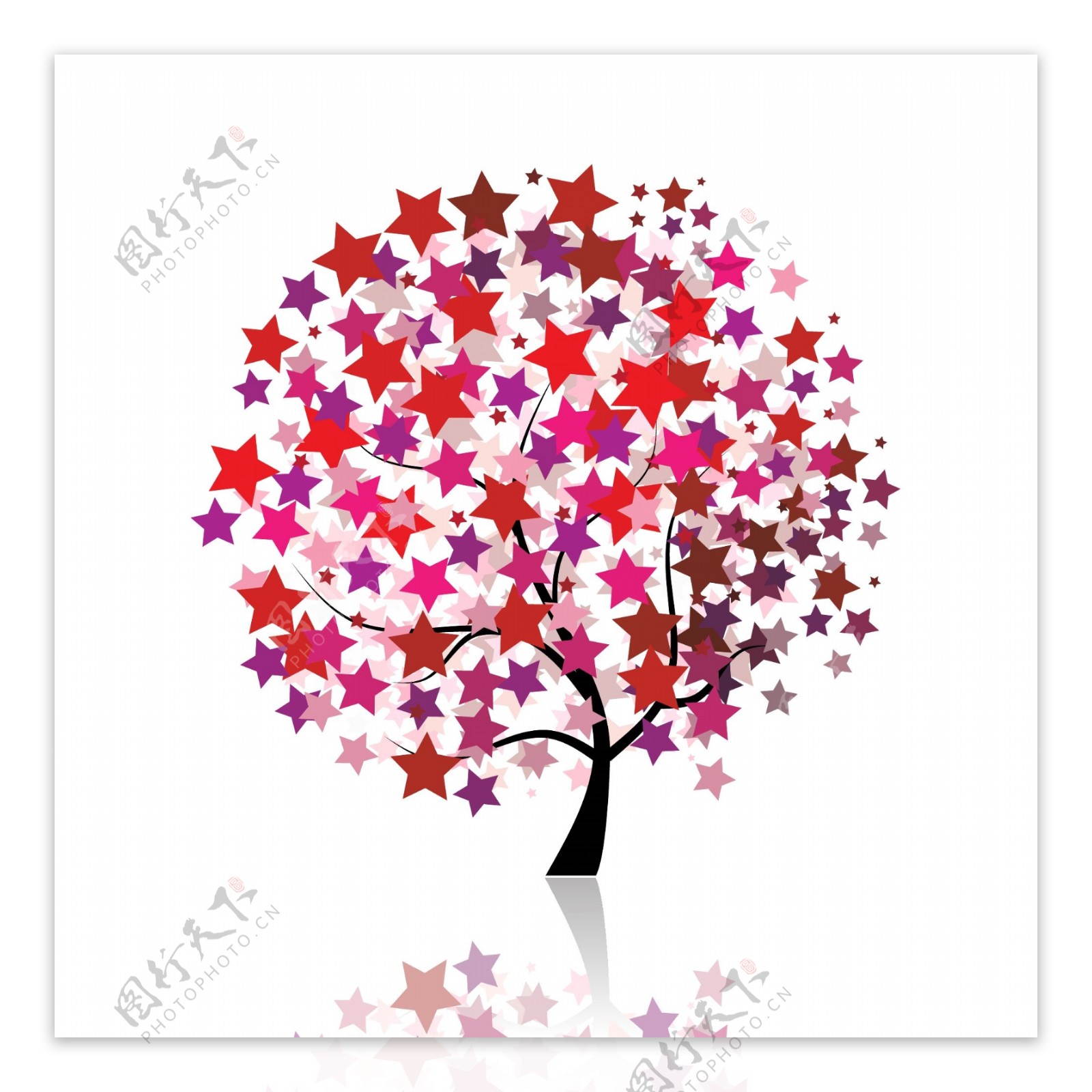 红星树花纹树图片