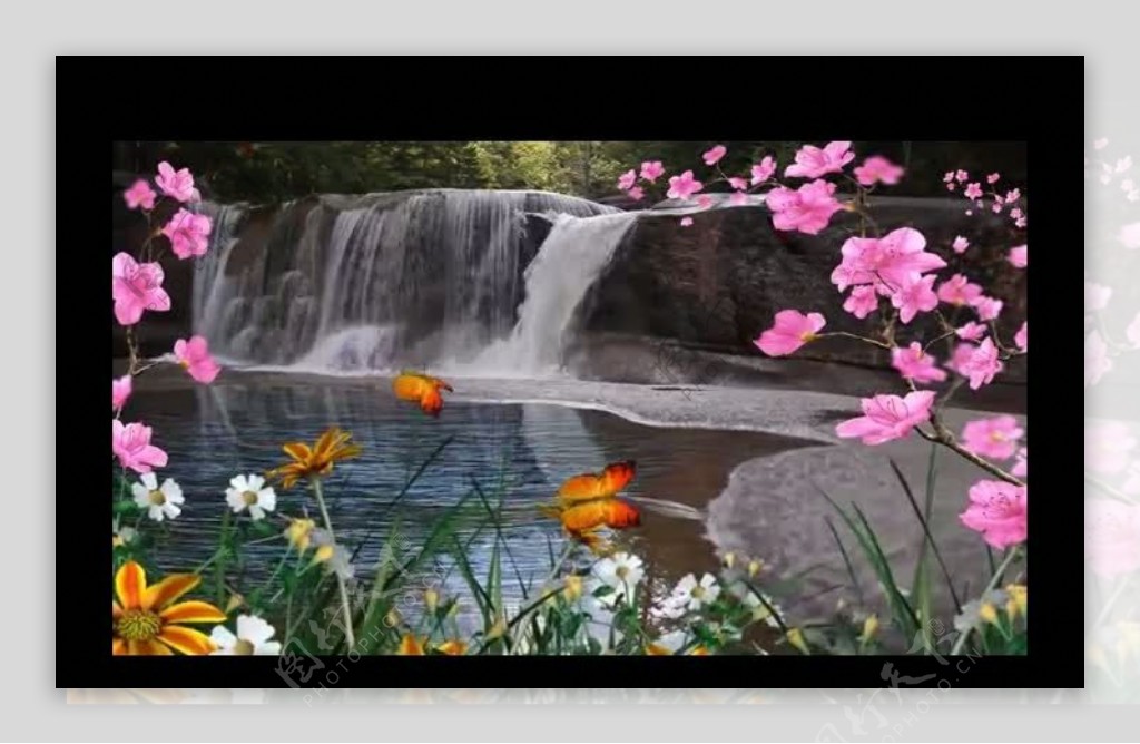 花朵蝴蝶水池视频素材