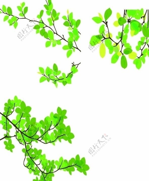 矢量树枝树叶图片