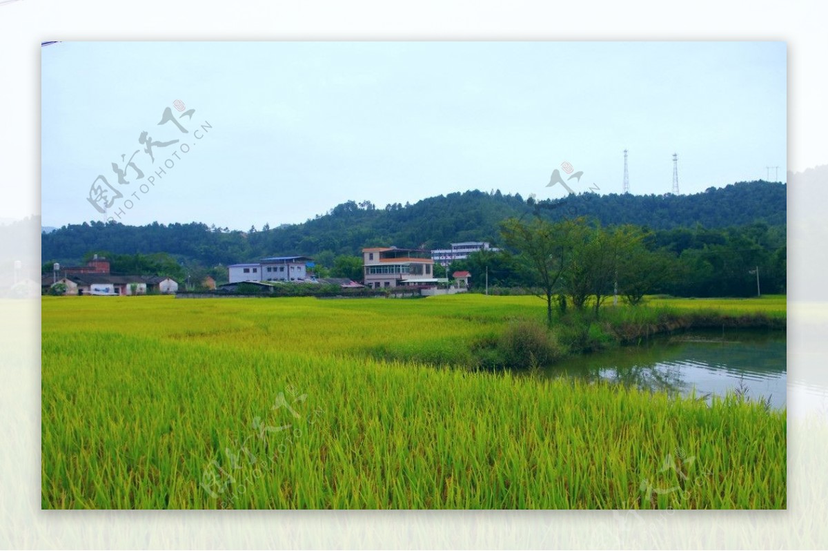 乡村田园风光图片