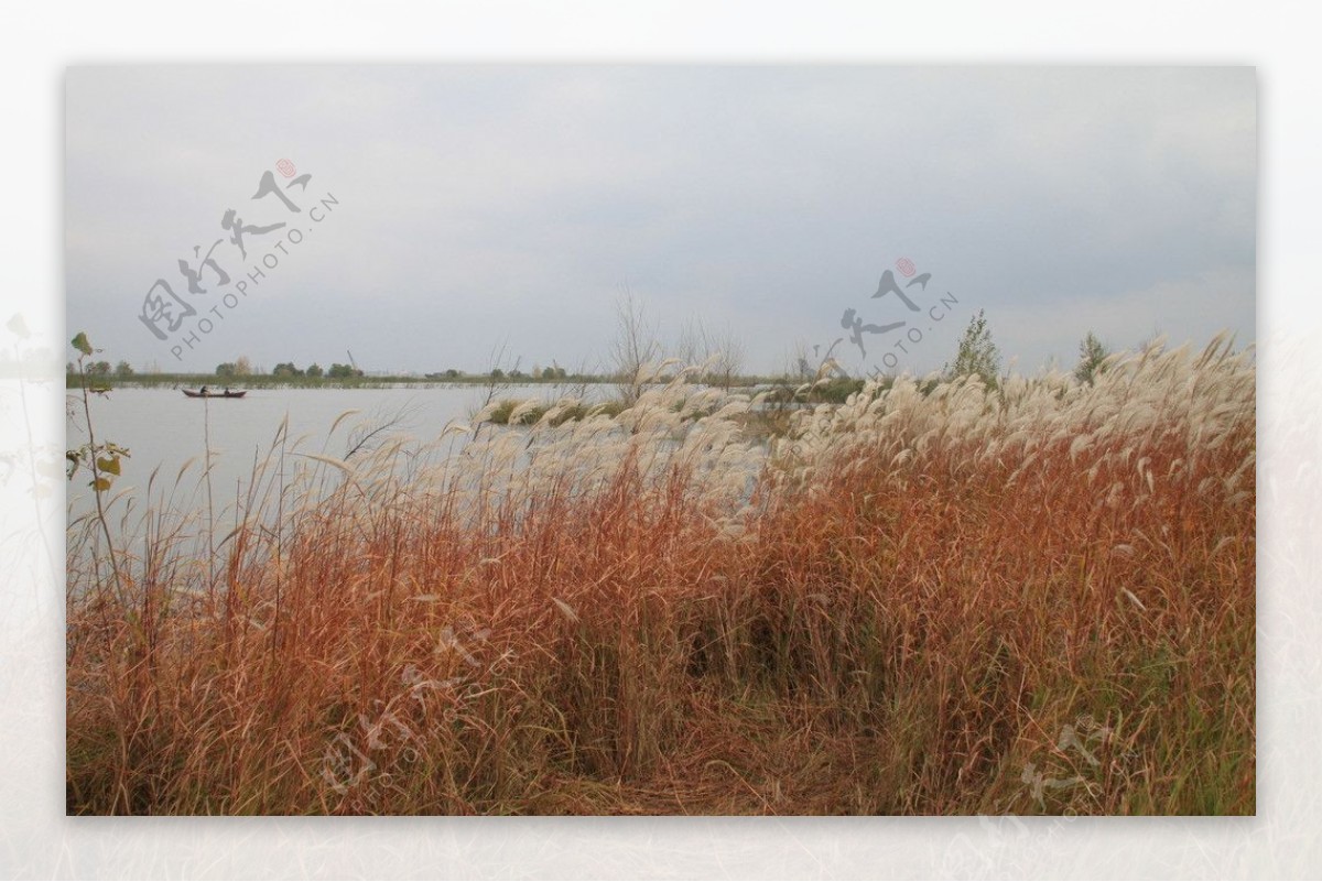 哈尔滨湿地风光图片