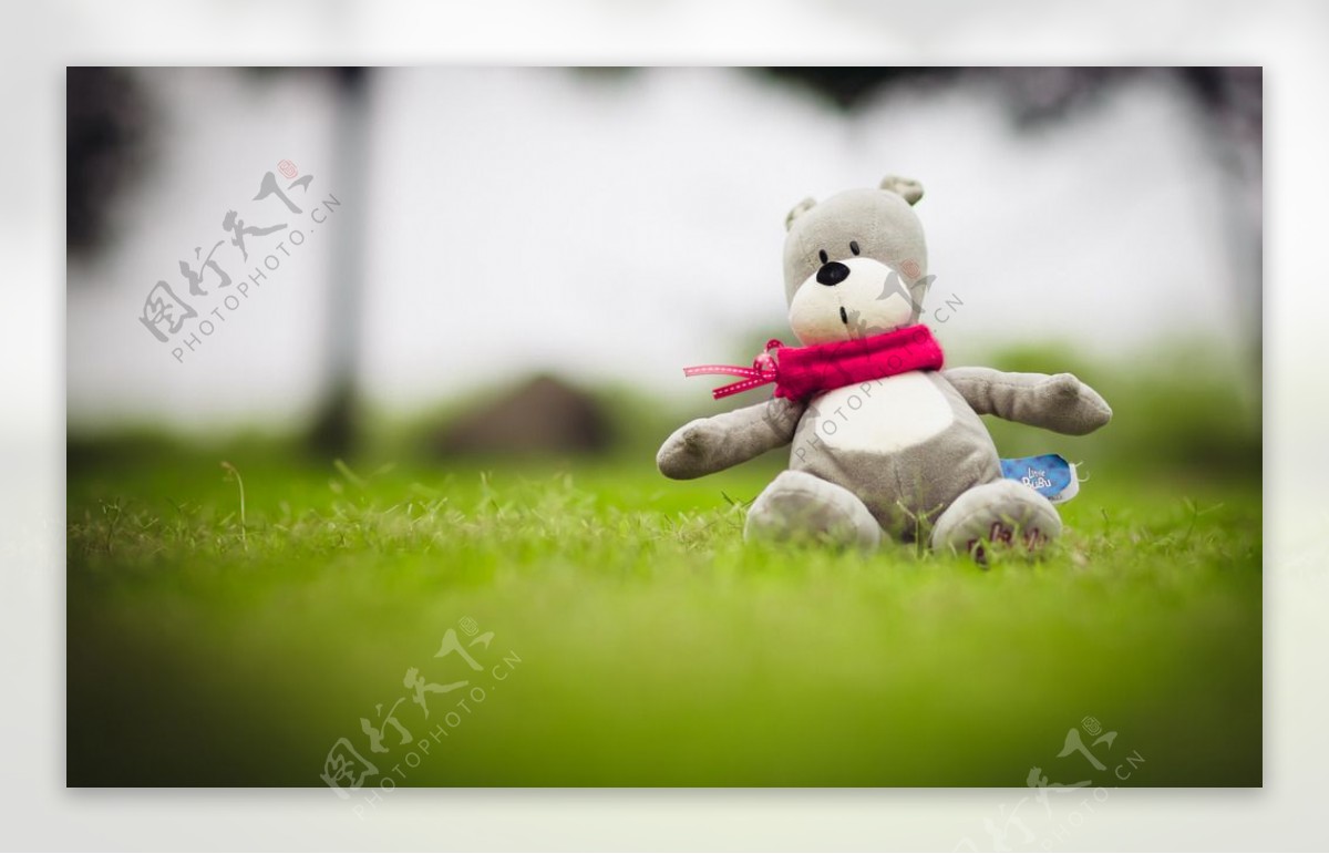 草地上的小熊玩偶图片