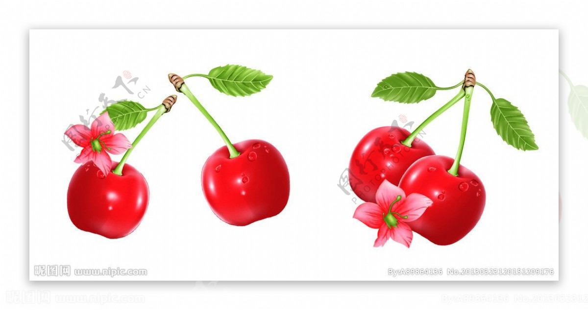红花樱桃图片