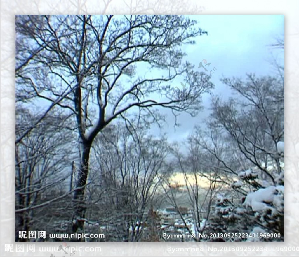 冬季森林雪景视频素材