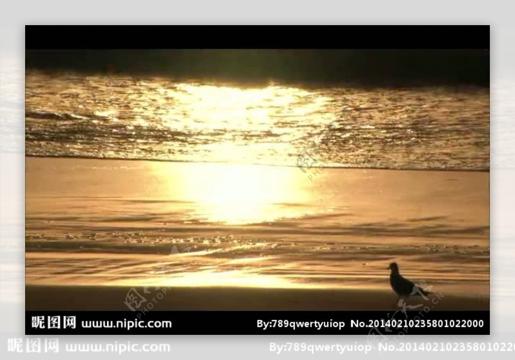 金色海滩夕阳视频