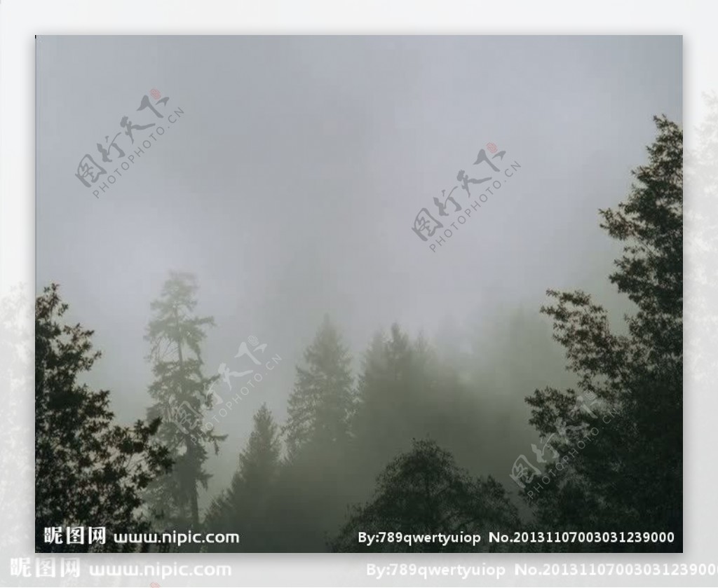 森林云雾背景视频素材
