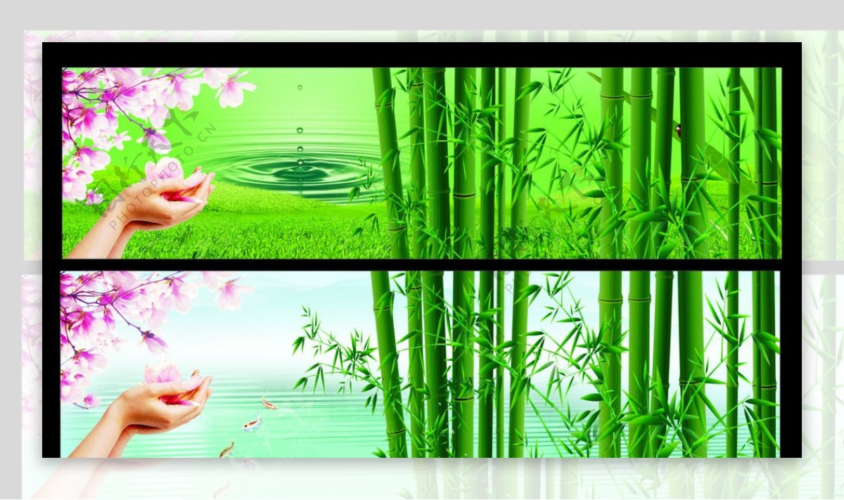 自然风景竹子背景图片