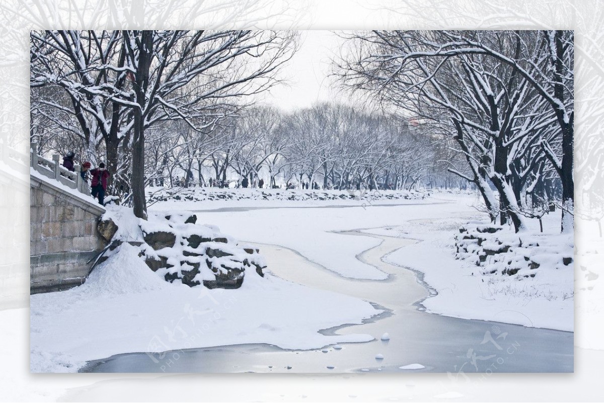 西堤雪景图片