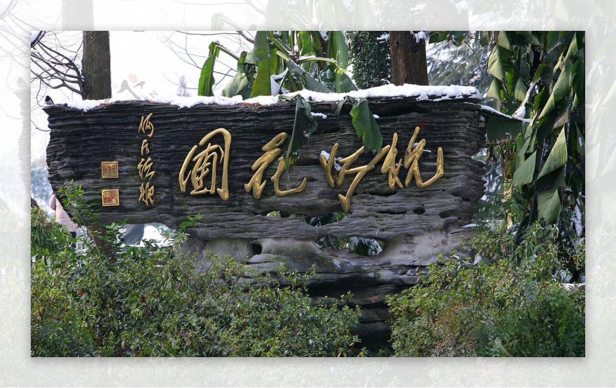 杭州花圃图片