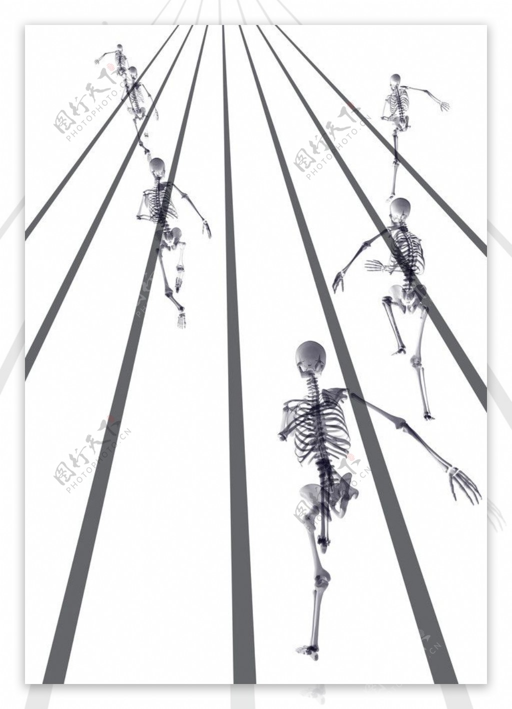 人体骨骼图片素材-编号09107686-图行天下