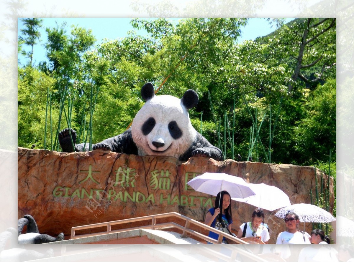 熊猫馆图片