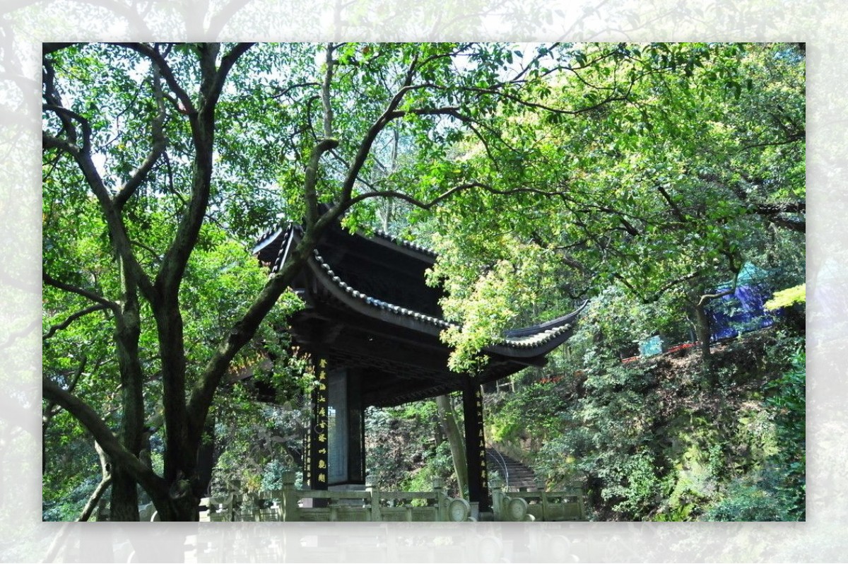 2009公园绿化金奖六和听涛图片