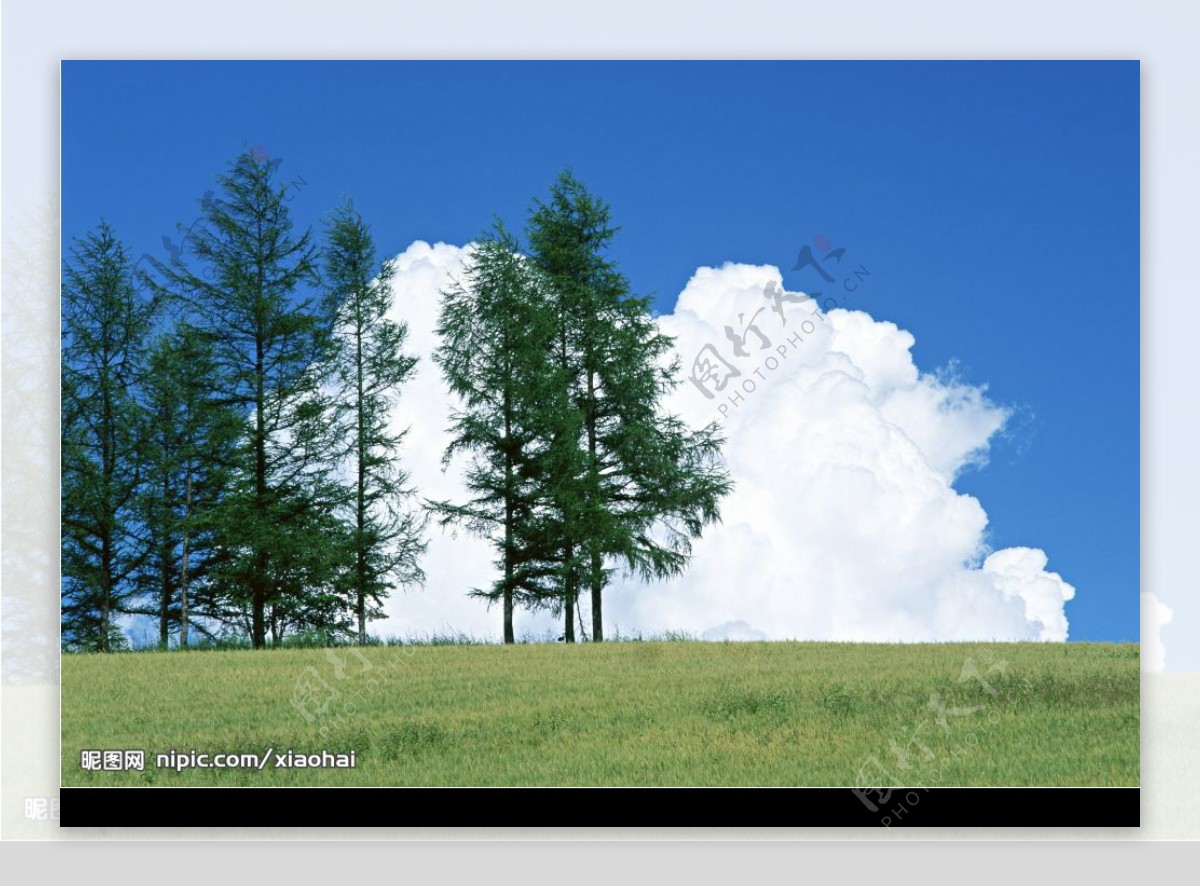 蓝天白云下的田园图片