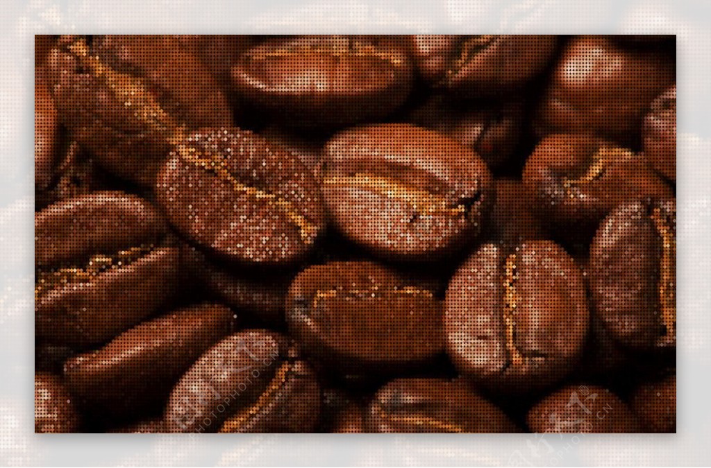 咖啡豆矢量图片