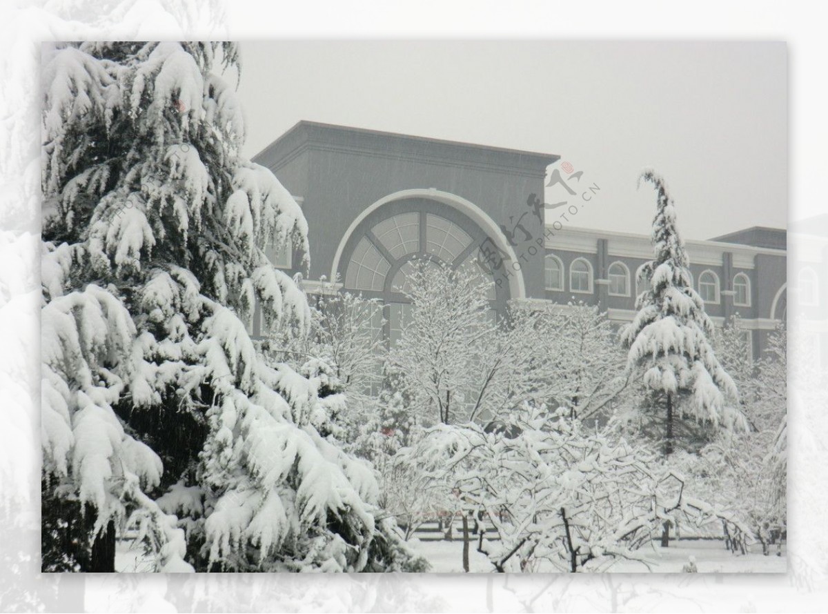 太原理工大学雪景图片