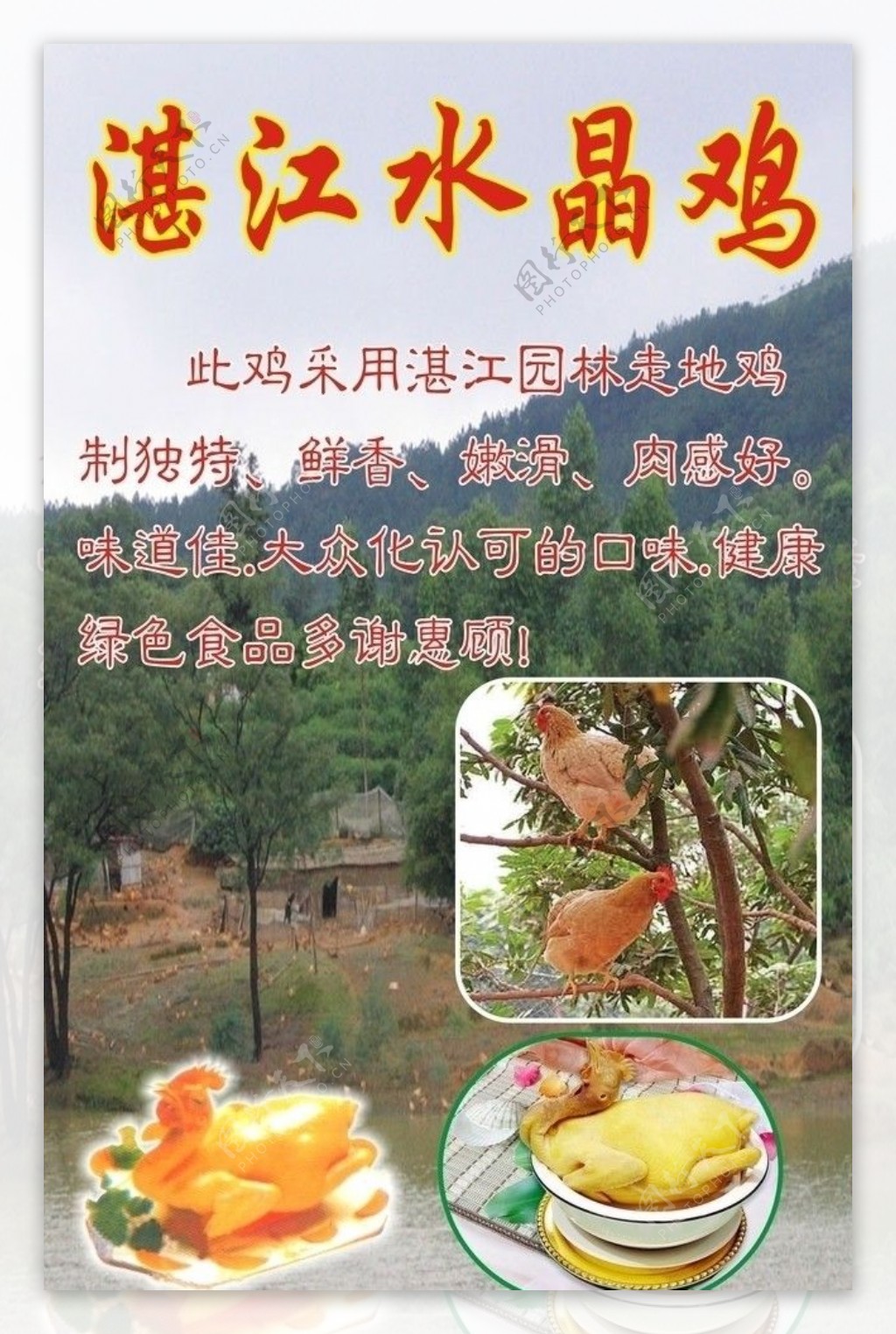 湛江水晶鸡图片