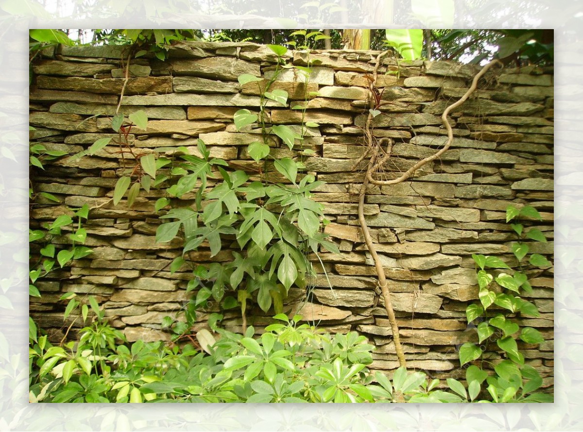 园林绿化石墙装饰墙图片