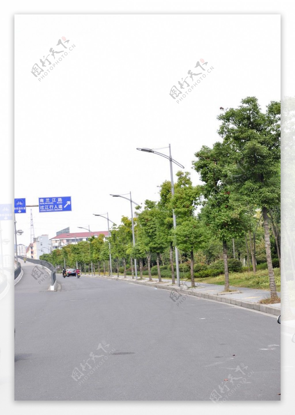 公路绿化图片