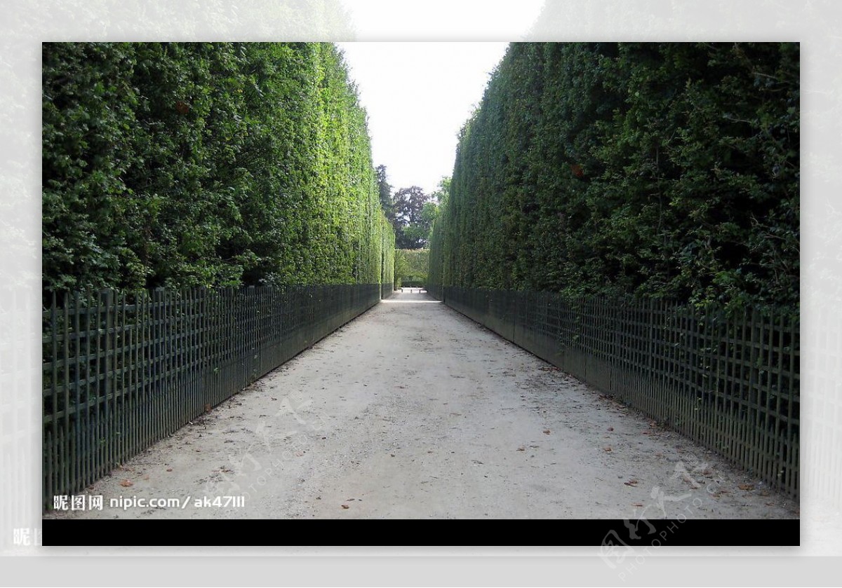 凡尔赛宫花园图片