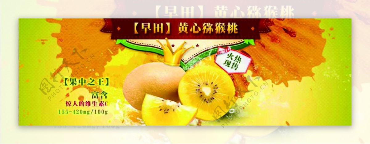 黄猕猴桃banner图片