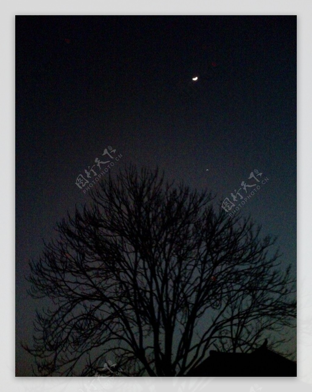 月亮里面有棵树图片,月亮图片,月亮图片大全_大山谷图库
