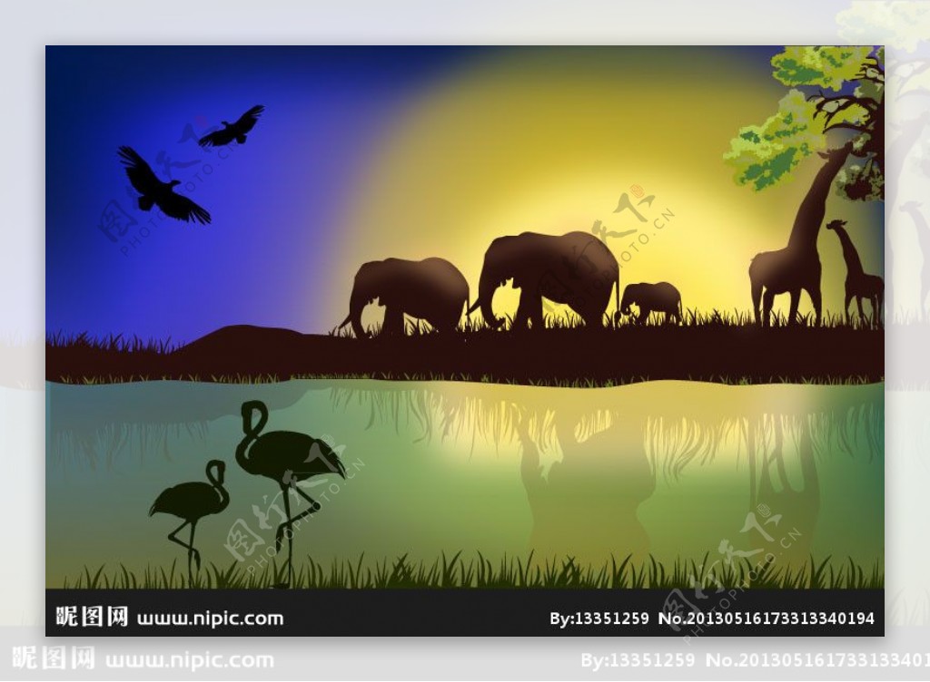非洲野生动物景观图片