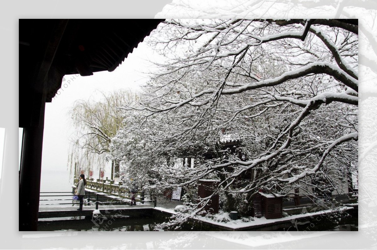 西湖雪景图片