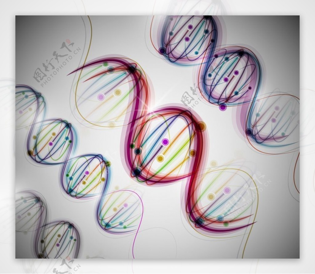 DNA遗传学遗传基因图片