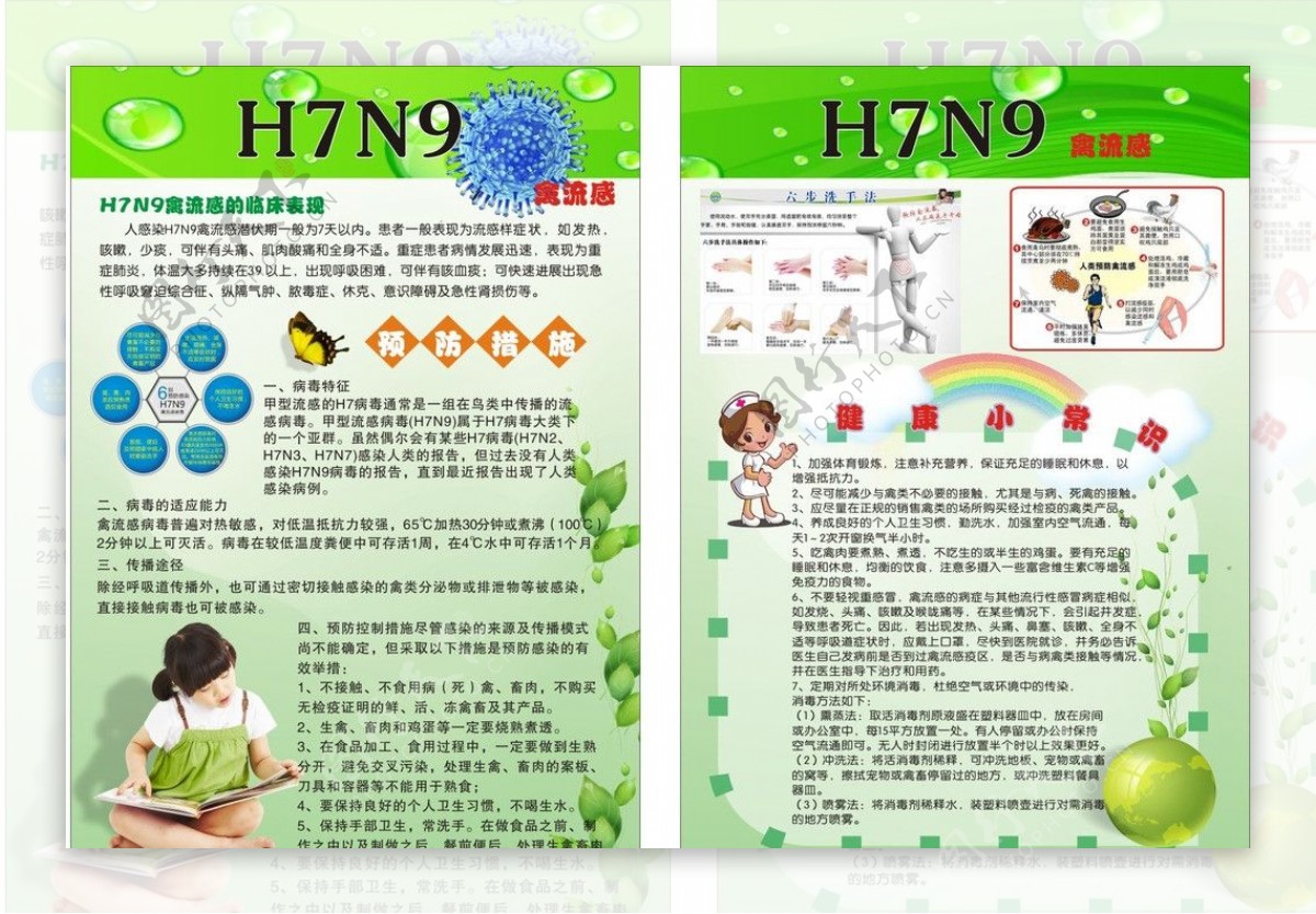 H7N9禽流感宣传单图片