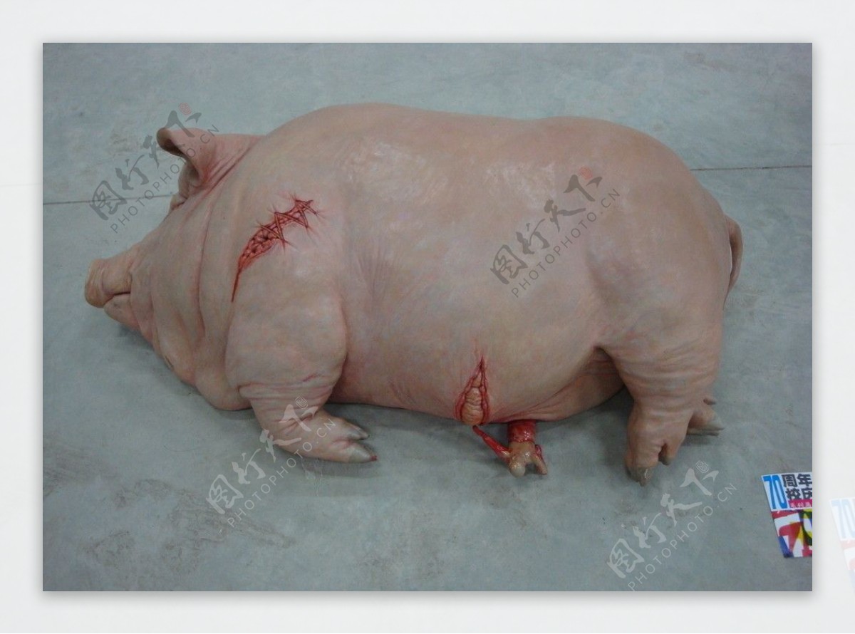 开膛的猪雕塑图片