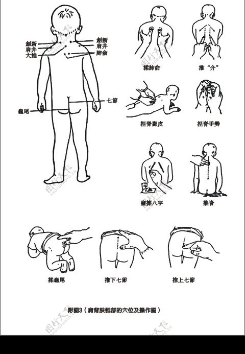 肩背部穴位图图片