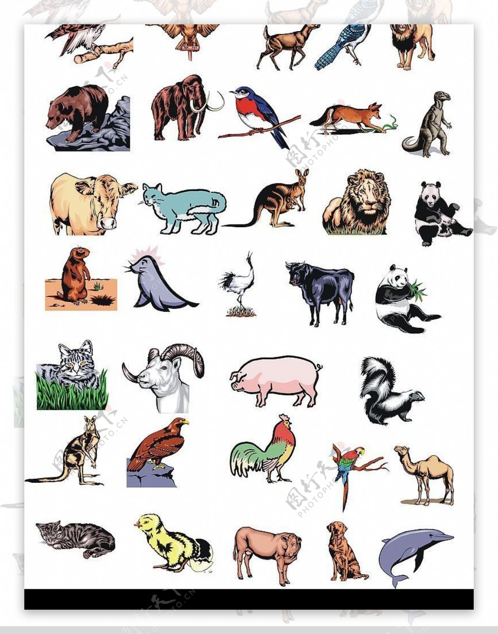图片素材 : 性质, 野生动物, 动物园, 哺乳动物, 动物群, 灵长类动物, 马达加斯加, 脊椎动物, 狐猴, 有袋动物 3264x4928 ...