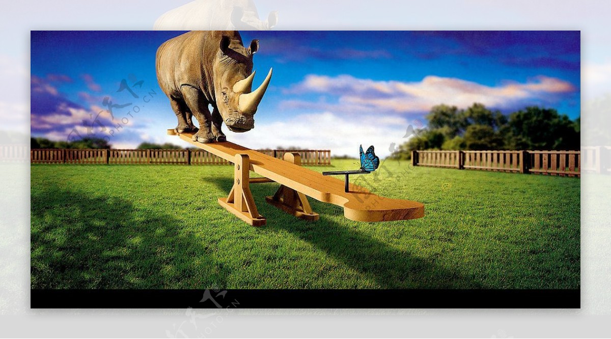 犀牛踩跷跷板图片