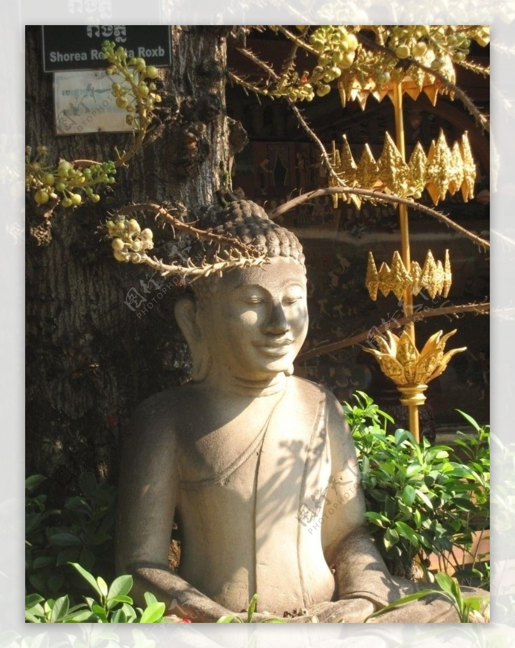 泰国石雕图片