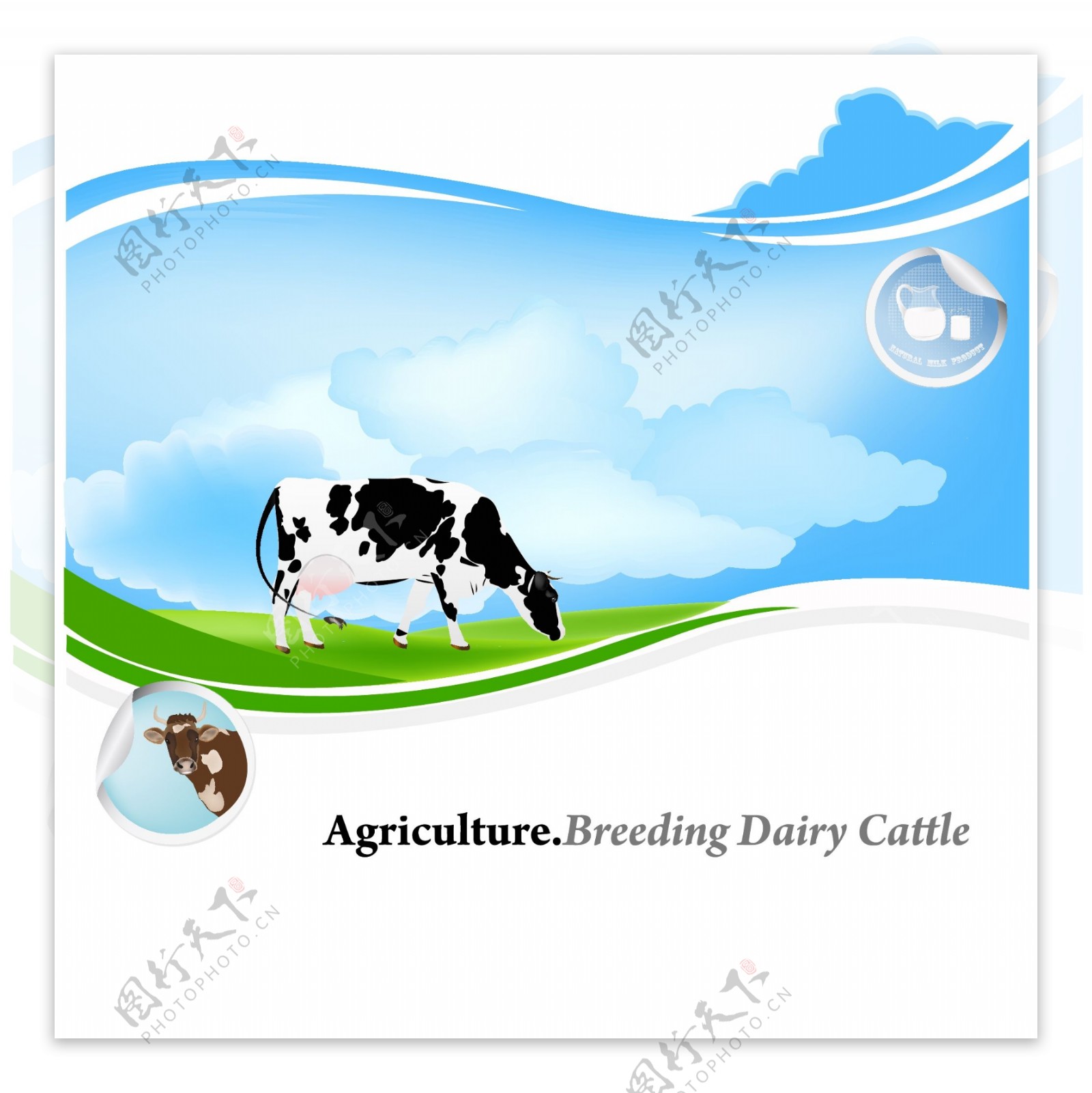 奶牛牧场卡通海报矢量图片