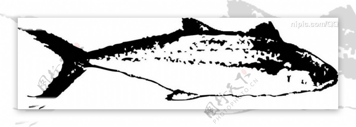 鱼黑白图片
