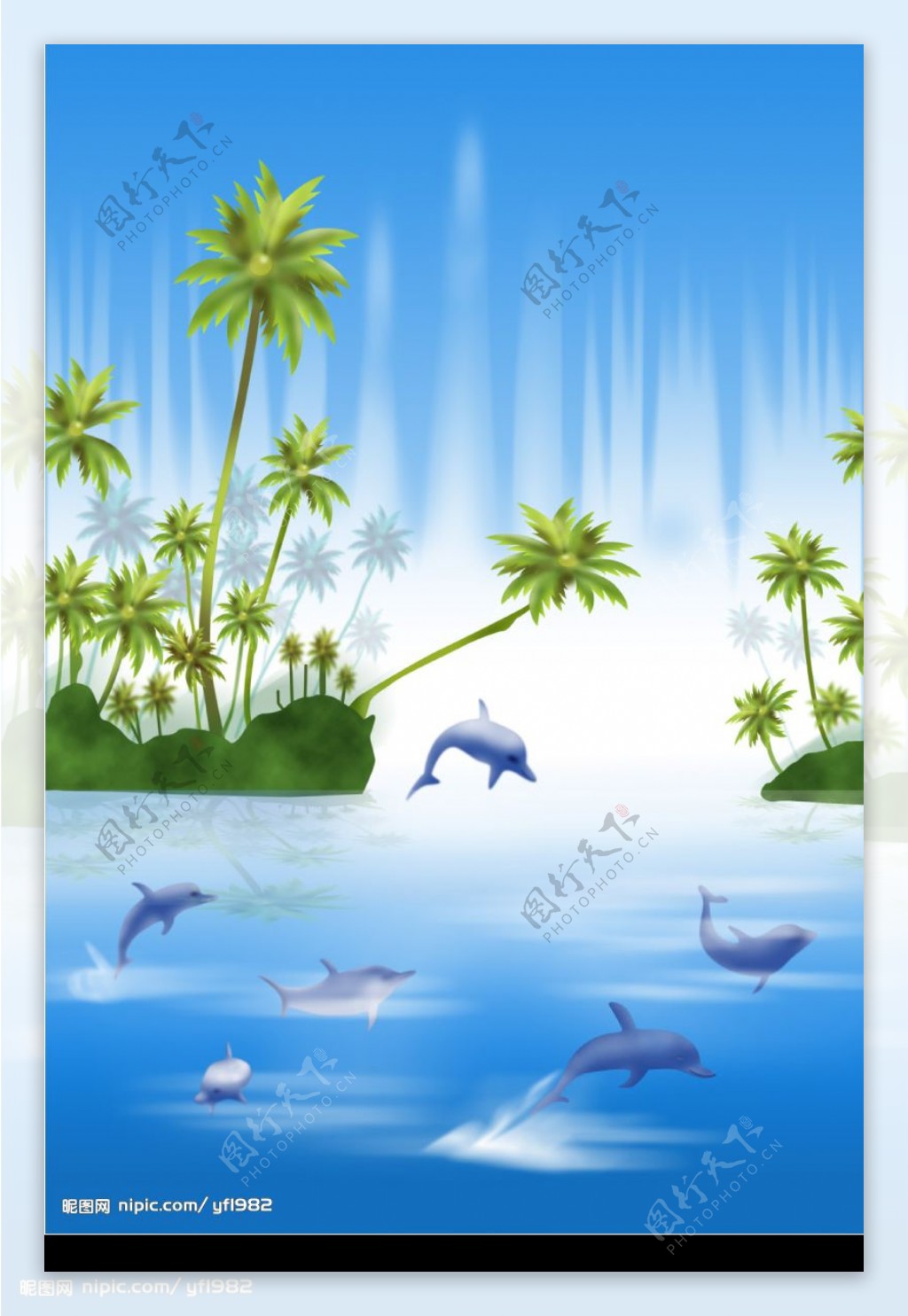 椰树海豚图片