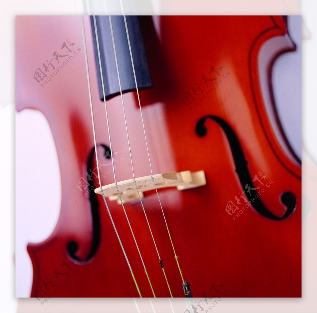 西式乐器小提琴图片