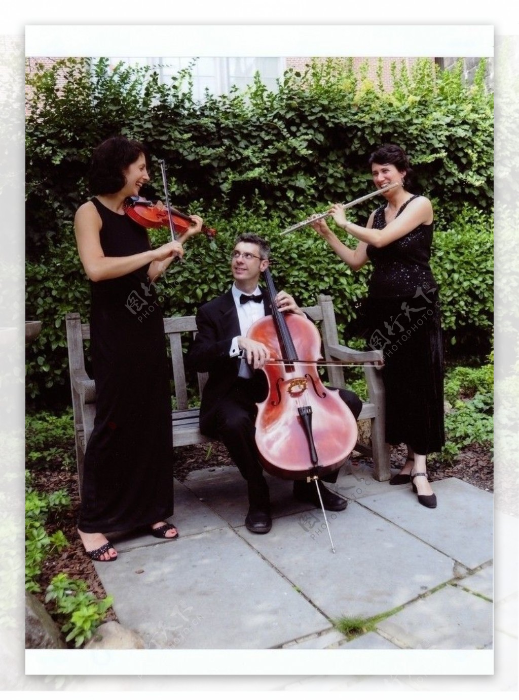 乐队大提琴小提琴男女表演演奏音乐家花园椅子图片